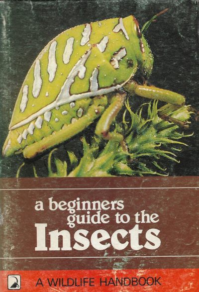 Cover of A Beginners Guide to the Insects
