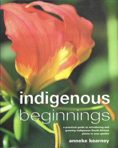 Cover of Indigenous Beginnings