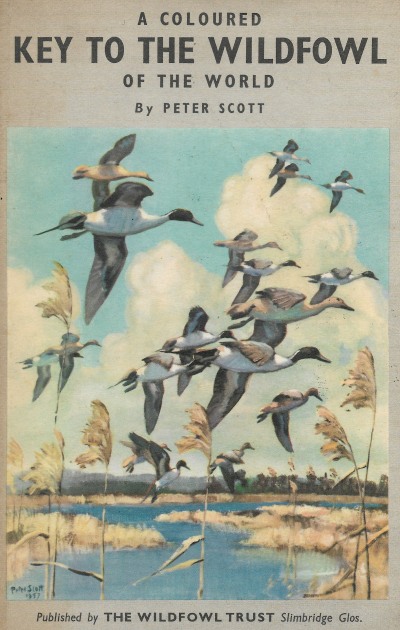 Cover of A Coloured Key to the Wildfowl of the World
