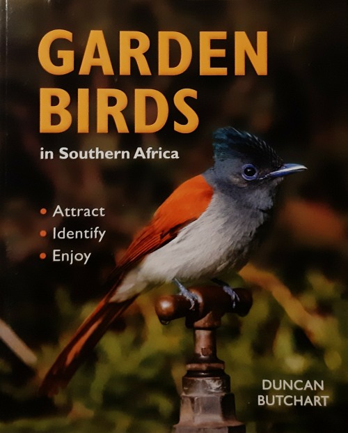 Garden Birds in South Africa