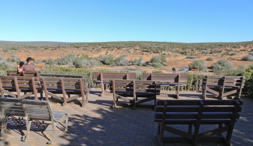 Addo waterhole