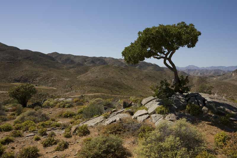 Richtersveld National Park