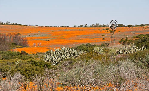 Stunning countryside