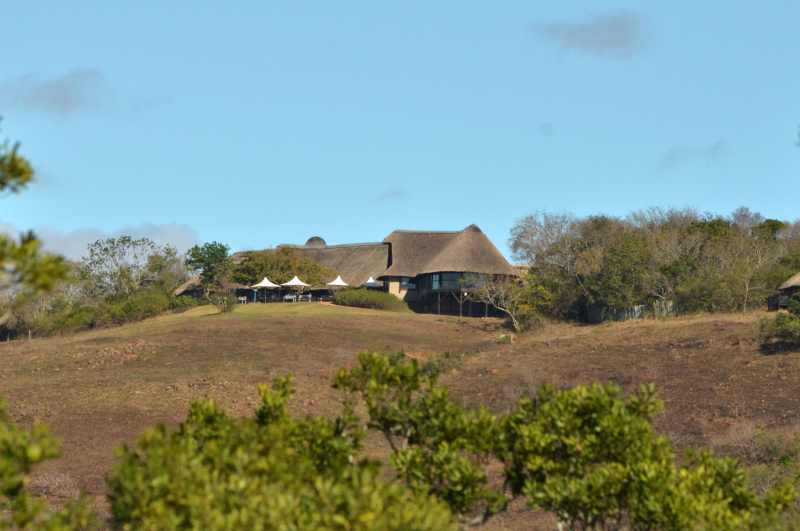 White Rhino sleeping in the road at Hluhluwe Game Reserve