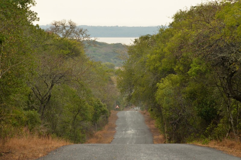 Road leading to the shore
