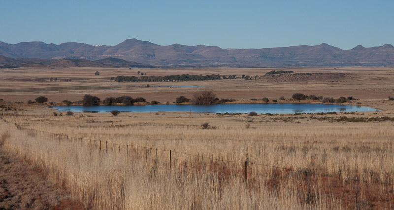 Countryside, Lady Grey