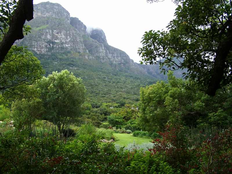 Kirstenbosch National Botanical Garden with a beautiful mountain backdrop