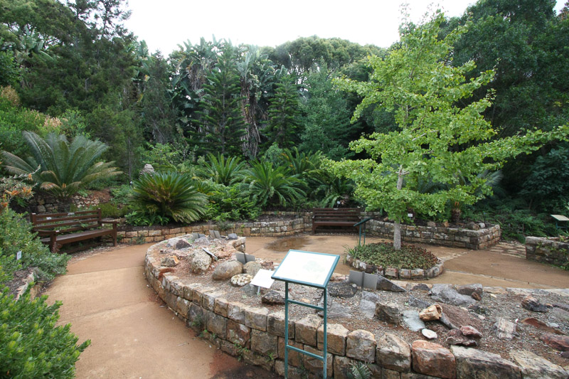 Kirstenbosch National Botanical Garden benches