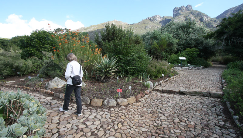 Kirstenbosch National Botanical Garden paths