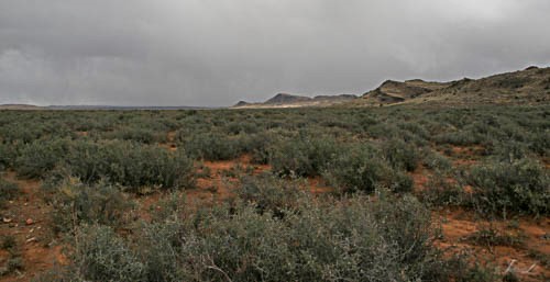 Loxton area