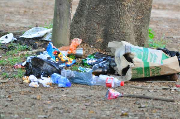 Vervet Monkeys have been here - they will turn your garbage upside down in no time at all!