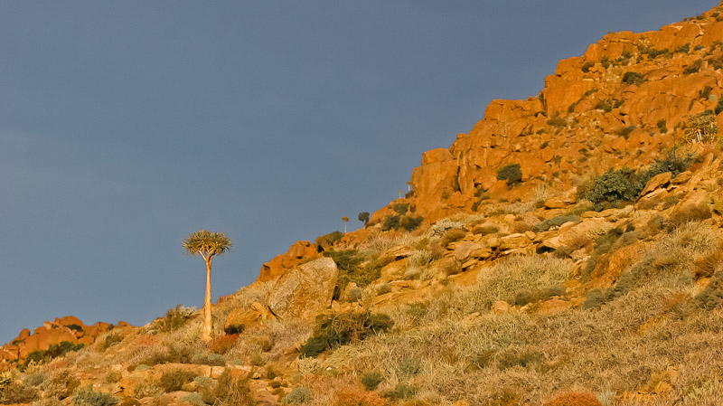 Beautiful scenery at Goegap Nature Reserve