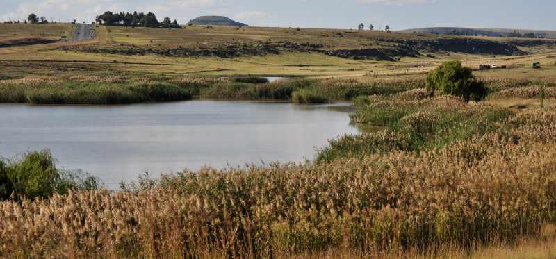 Wetlands north of Warden