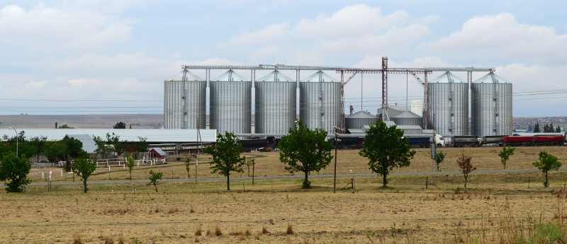The grain silos on the edge of Frankfort