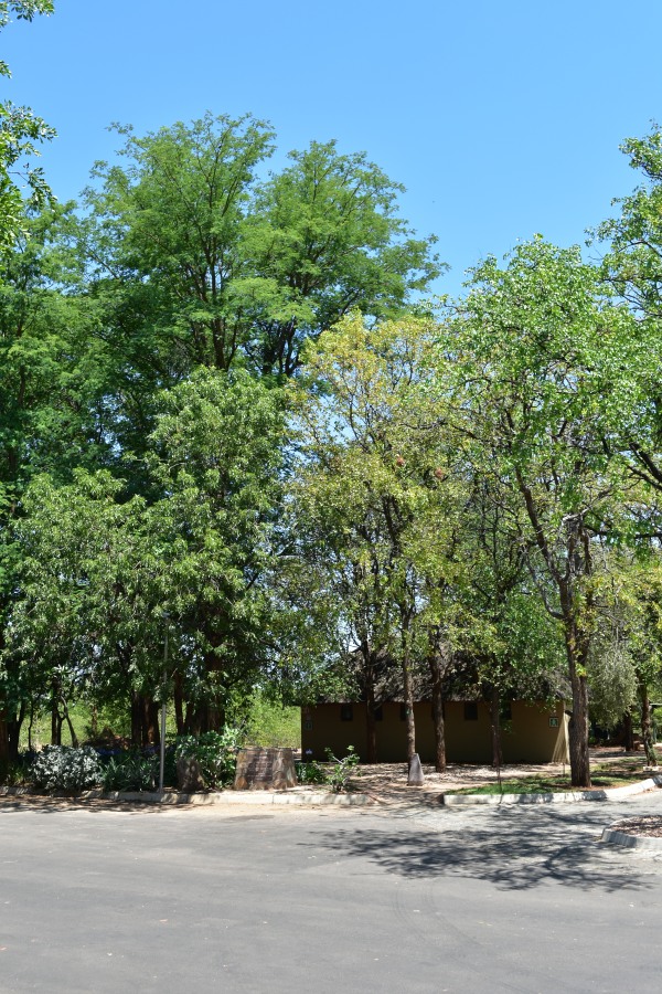 Interesting design of the reception offices