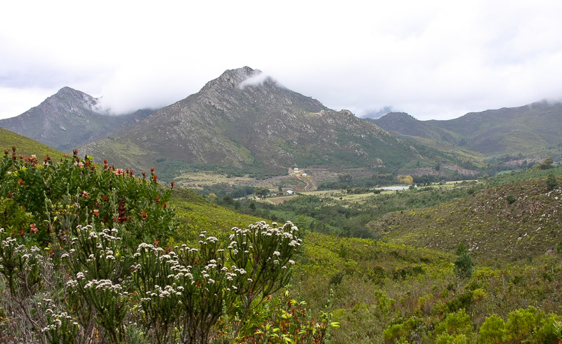On top of Robinson Pass