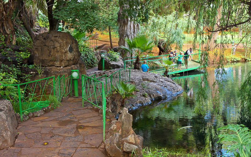 Visitors can wander along paths and bridges