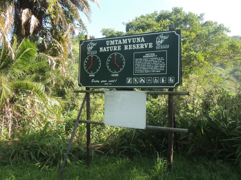 Thick vegetation is the order of the day