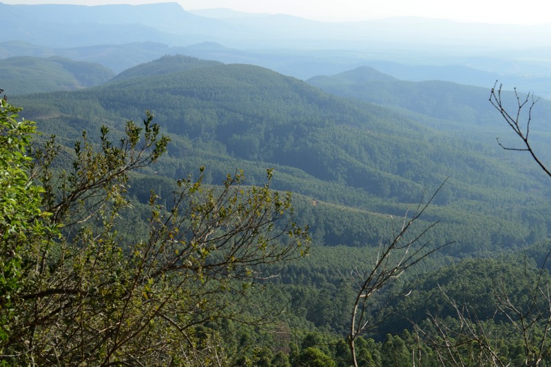 Scenery along Bothasnek Pass