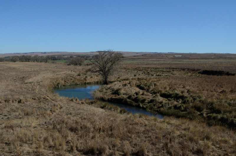 Komati River looking upstream from R36