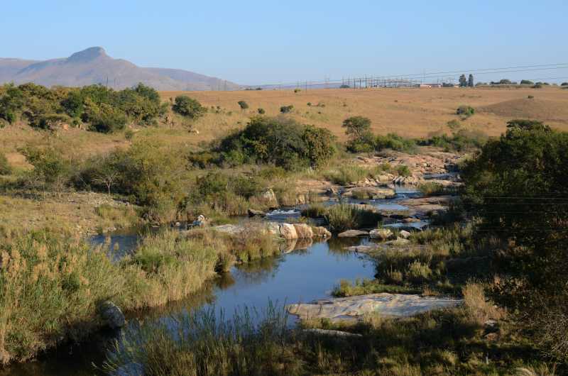 Komati River looking upstream from R38