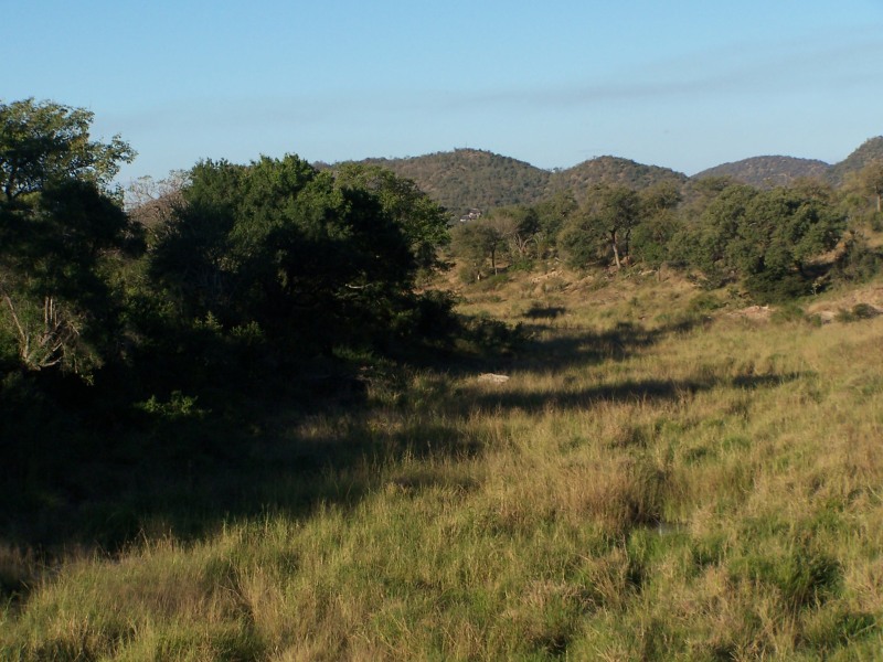 The Matjulu River during the dry season