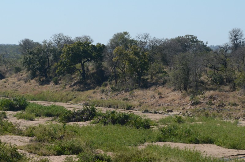 Biyamiti River in Kruger National Park