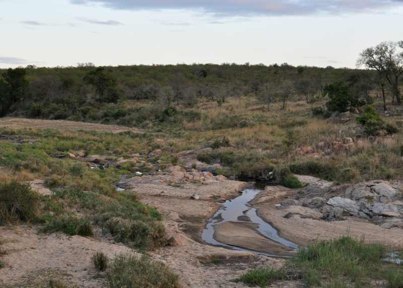 Mlambane River in Kruger National Park
