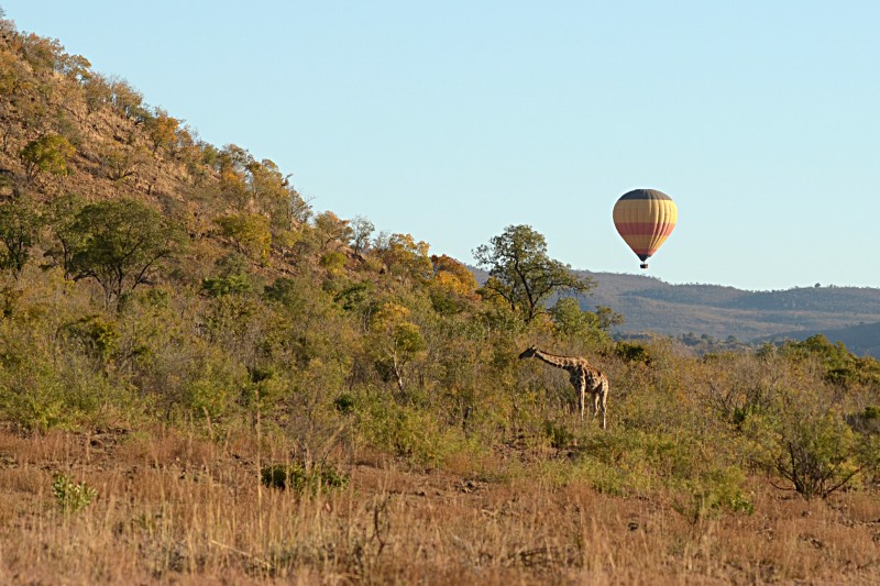Pilanesberg National Park