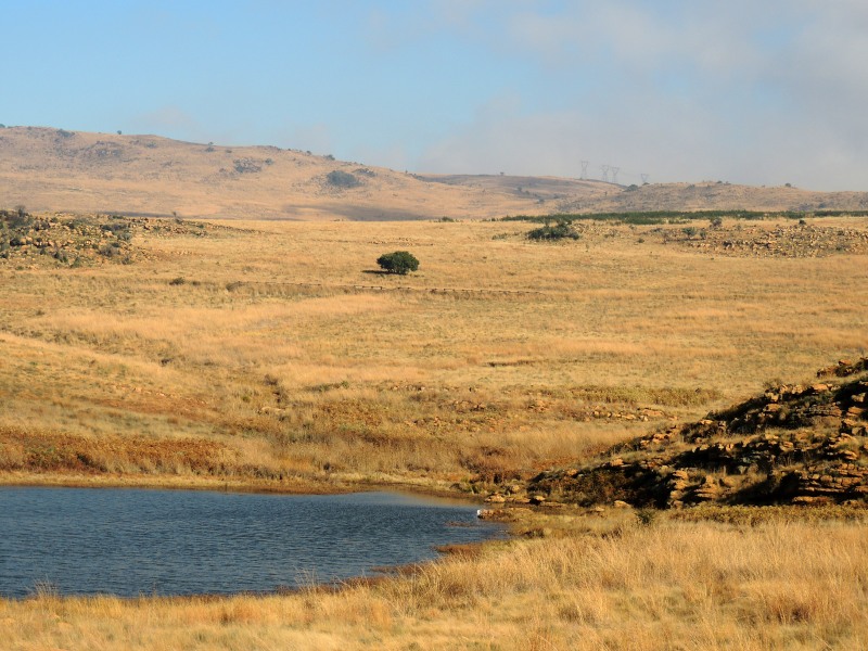 Suikerbosrand Nature Reserve