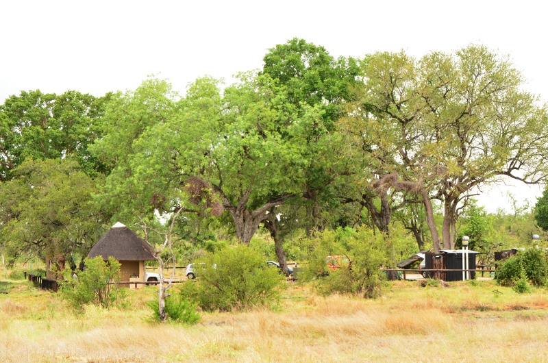 Approaching the picnic site