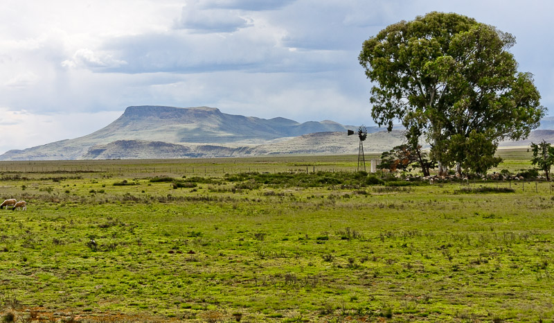 Scenery in Steynsburg area