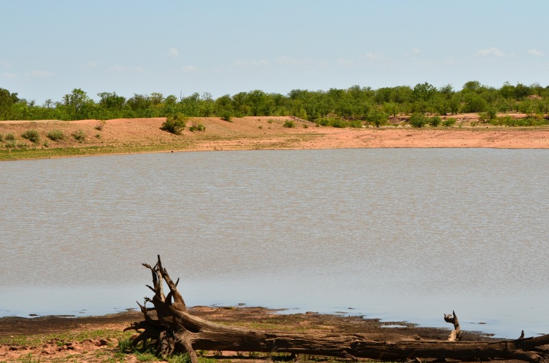 View from the hide