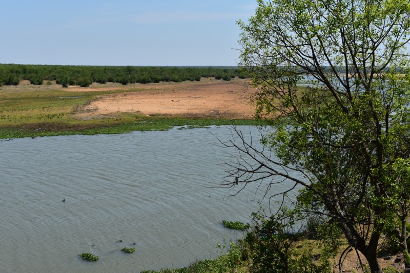 View from the hide