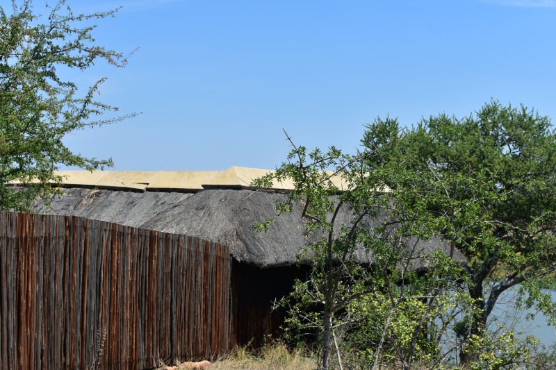 Approaching the hide