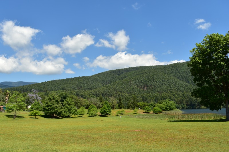 Forests surround the dam