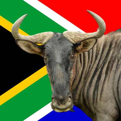 The Wildebeest - Explore the Heart of South Africa: Nature, Culture, Adventure